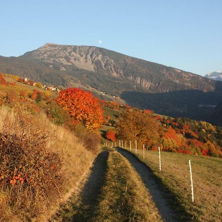 Moarhof Natur Apartments ライオーン エクステリア 写真